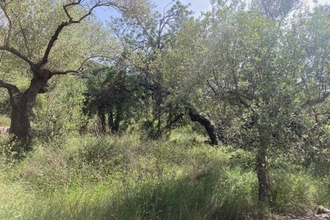 Landhaus in El Perello, Tarragona - Foto 5